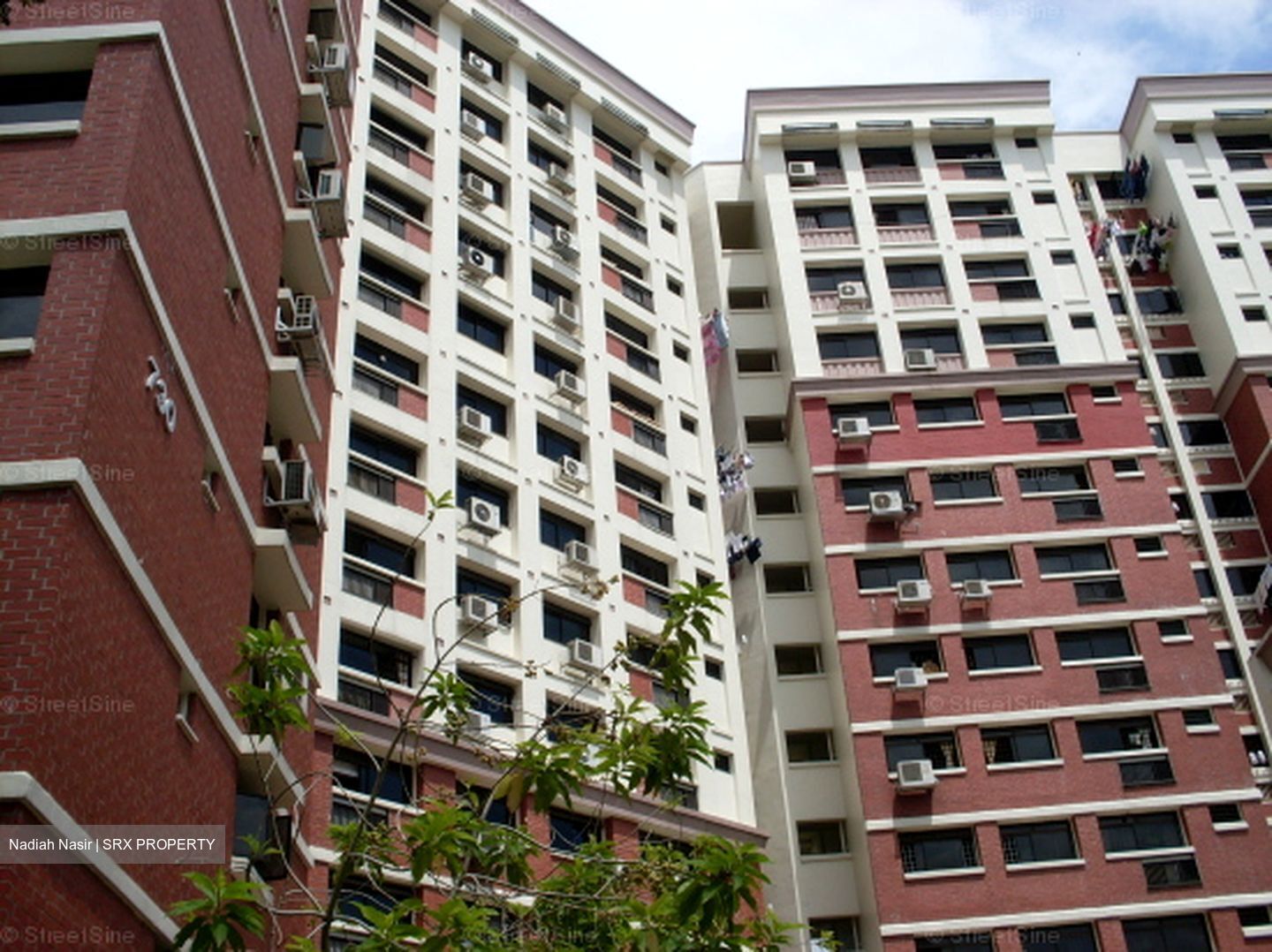 Blk 730 Tampines Street 71 (Tampines), HDB 4 Rooms #592861941